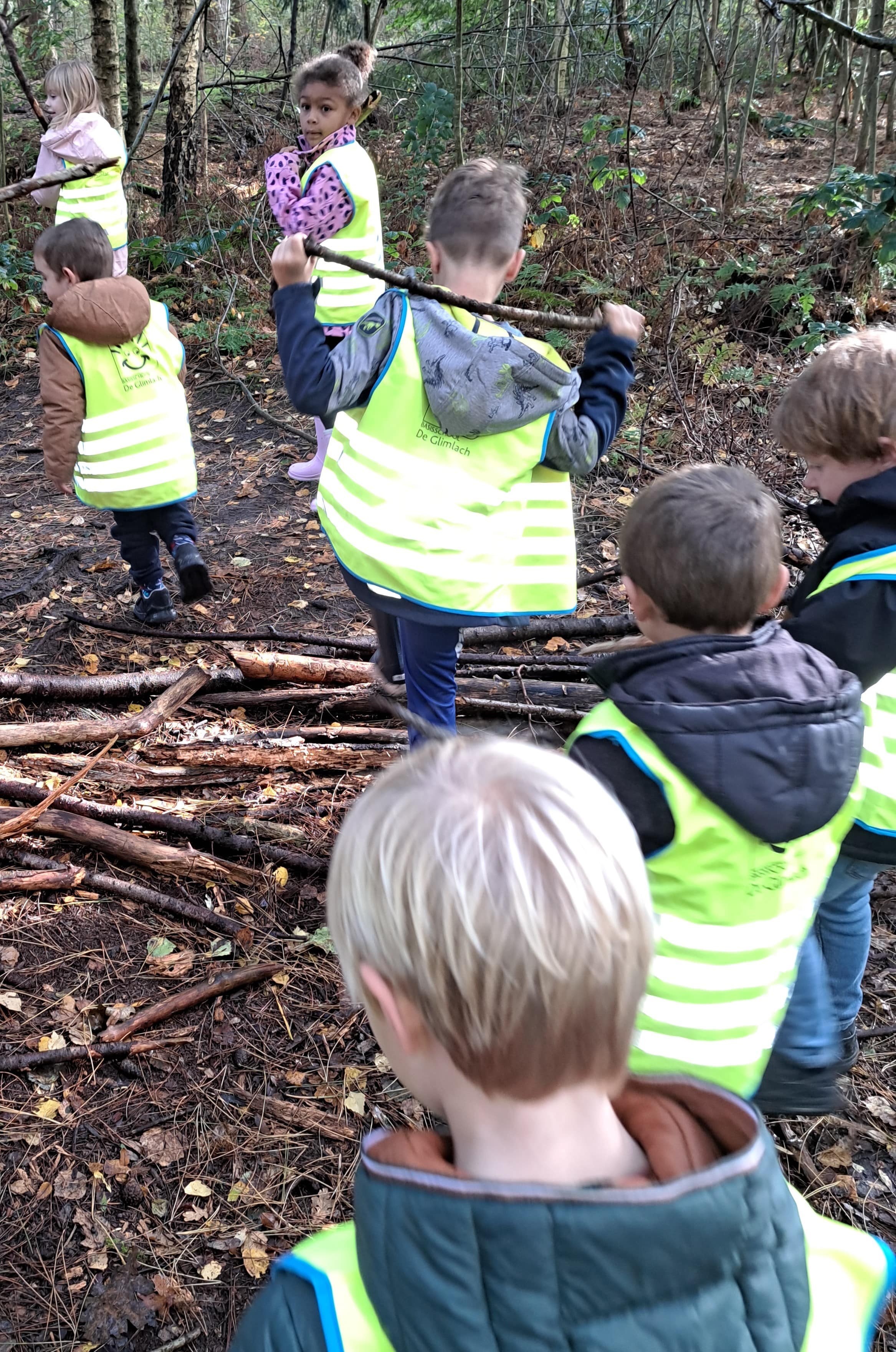 Uitstap naar het bos