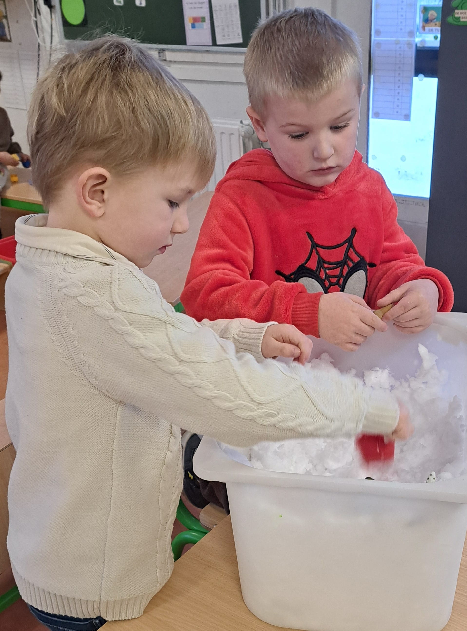 Wat als pinguïns in een ander klimaat zouden terechtkomen? 
