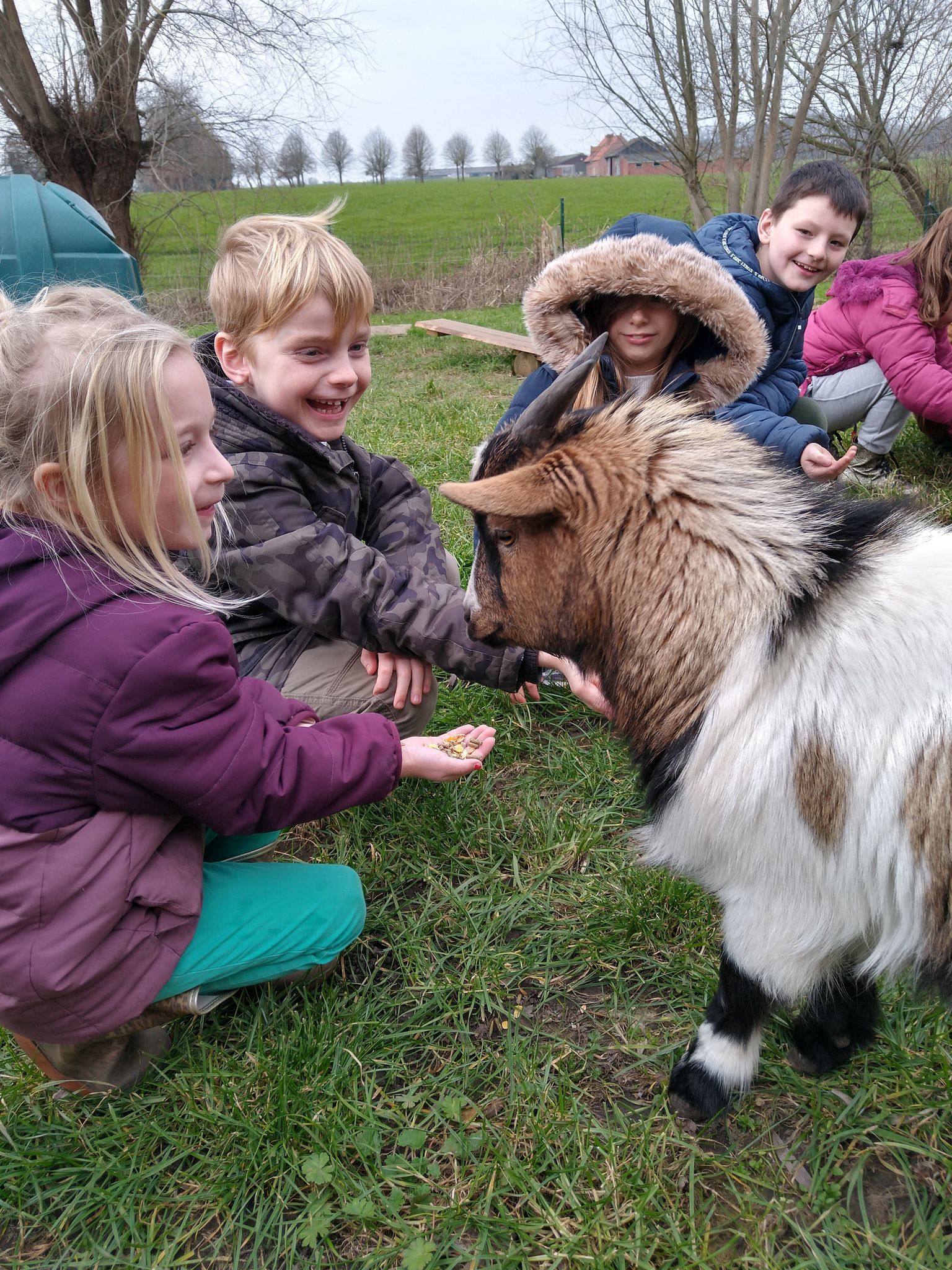 kinderboerderij