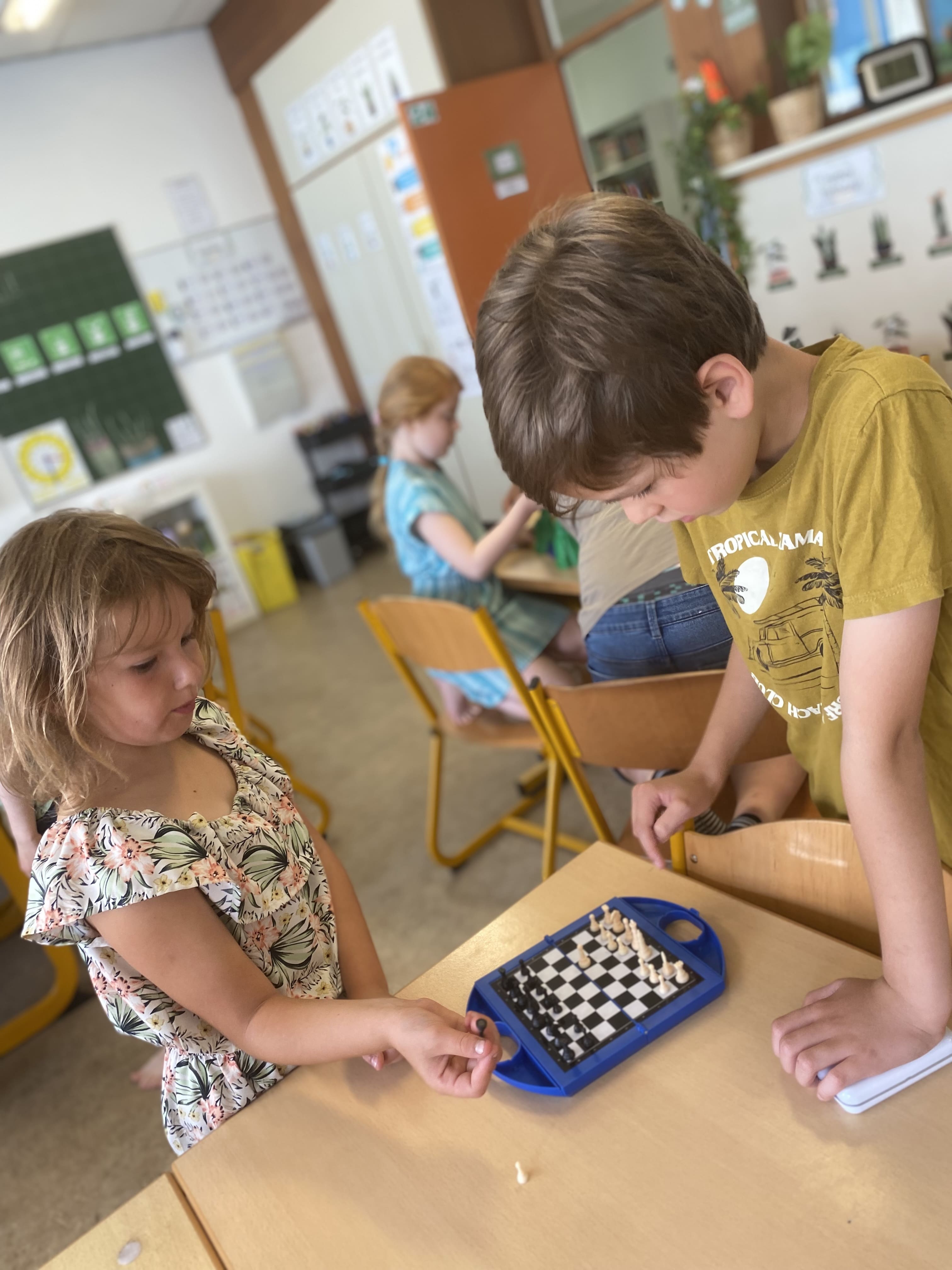 De Glimlach Zedelgem