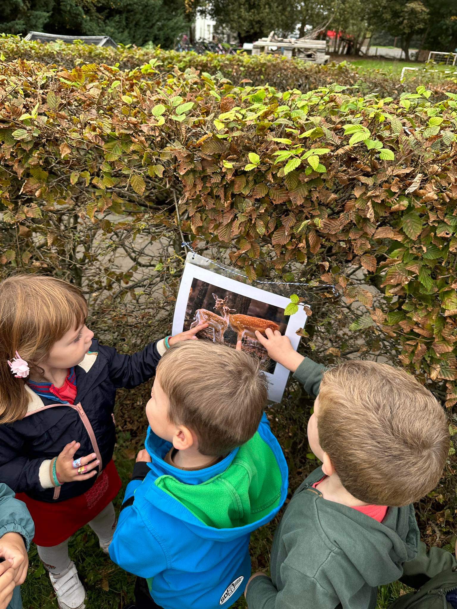 Week van het bos 