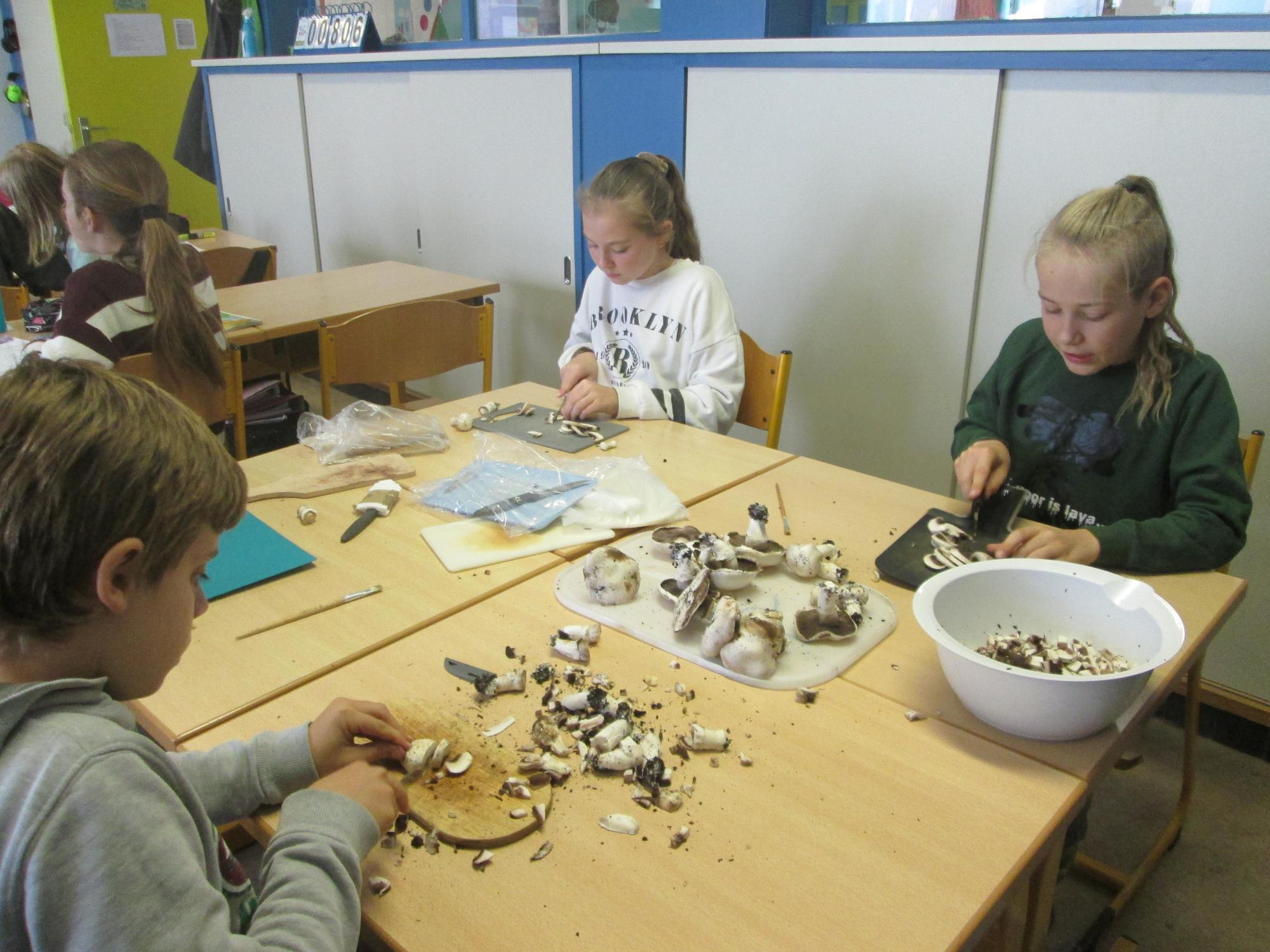 Champignons van eigen kweek