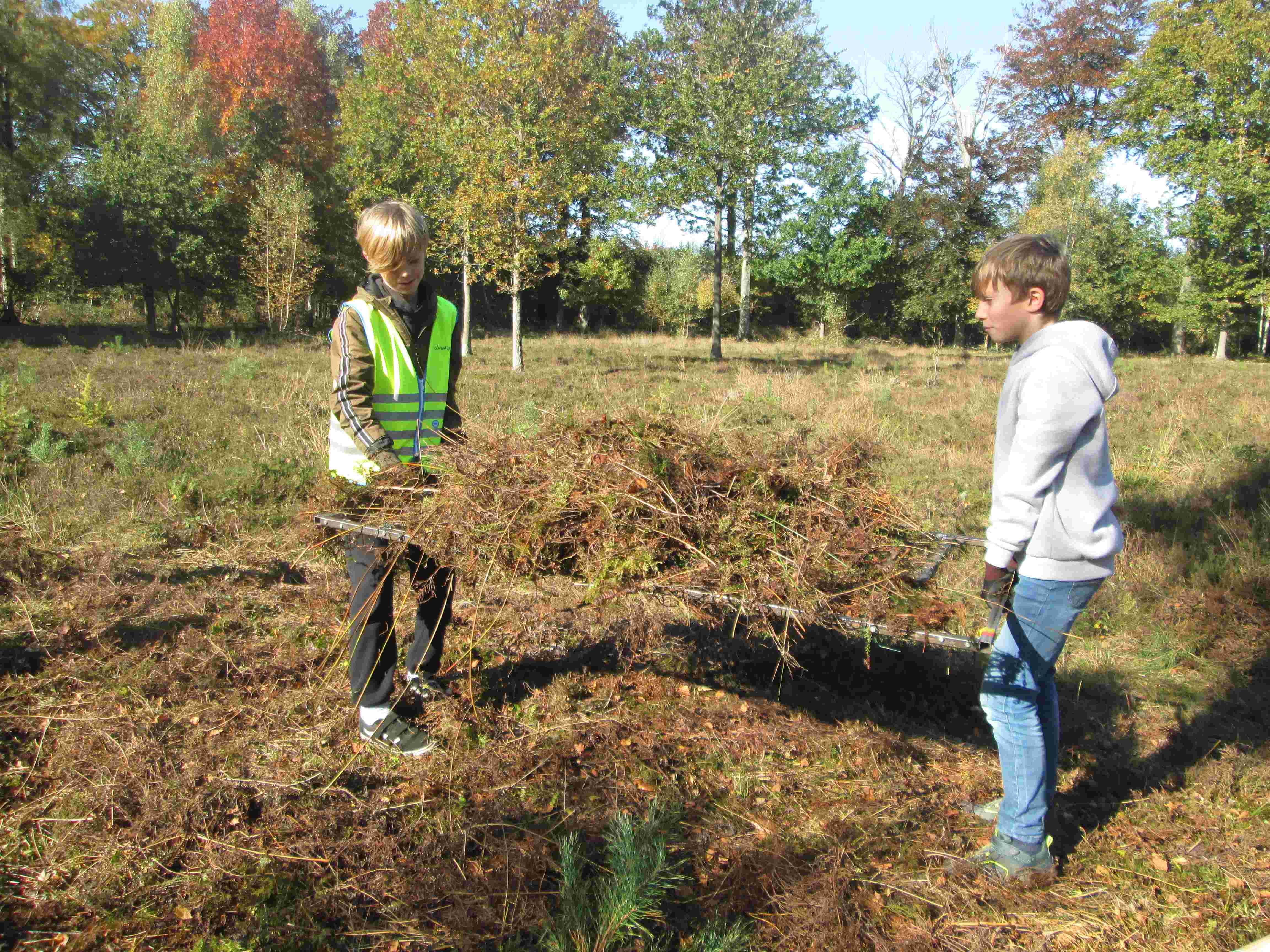 Bosbeheer in Doeveren