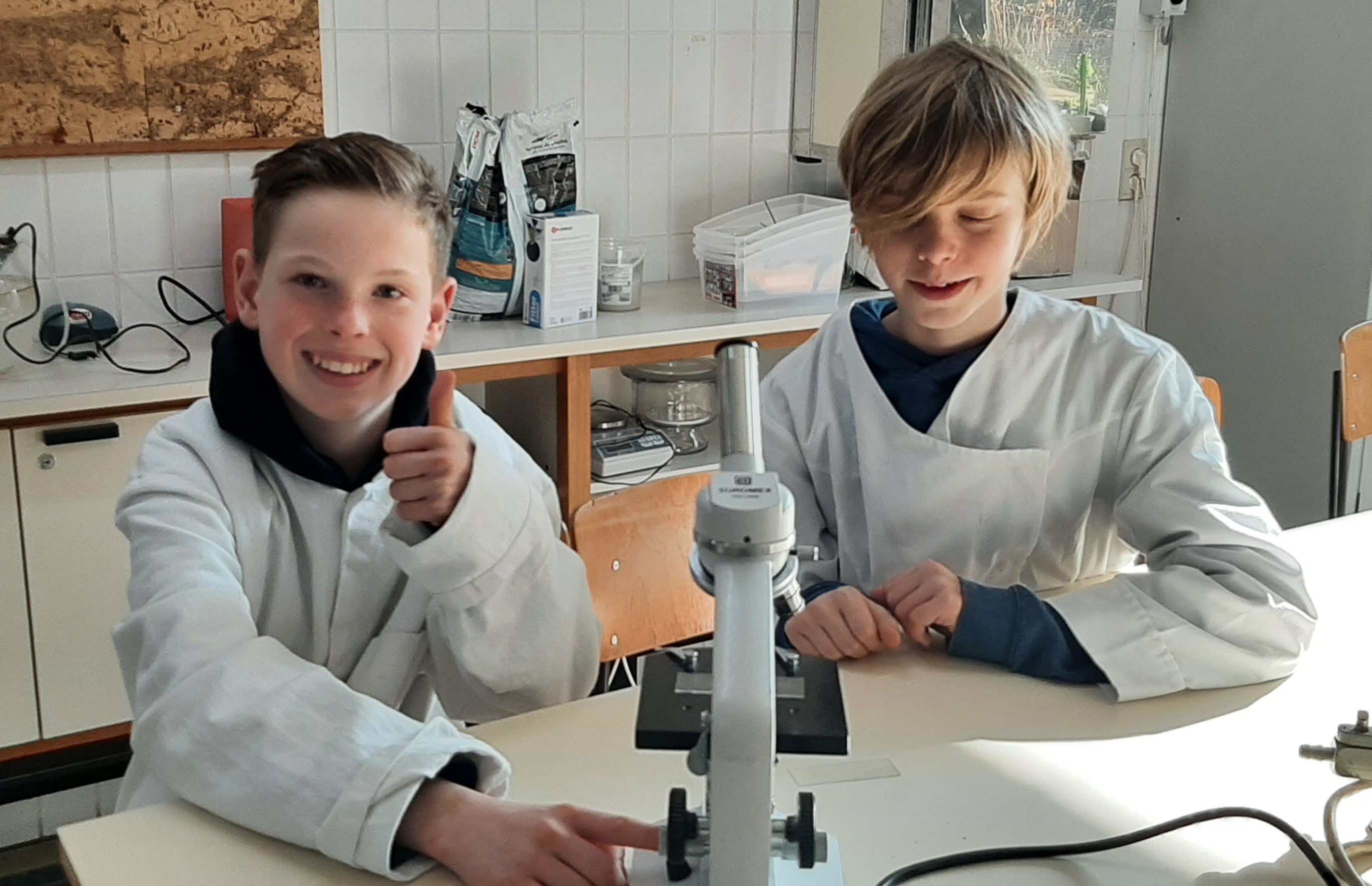 Stem wetenschappen